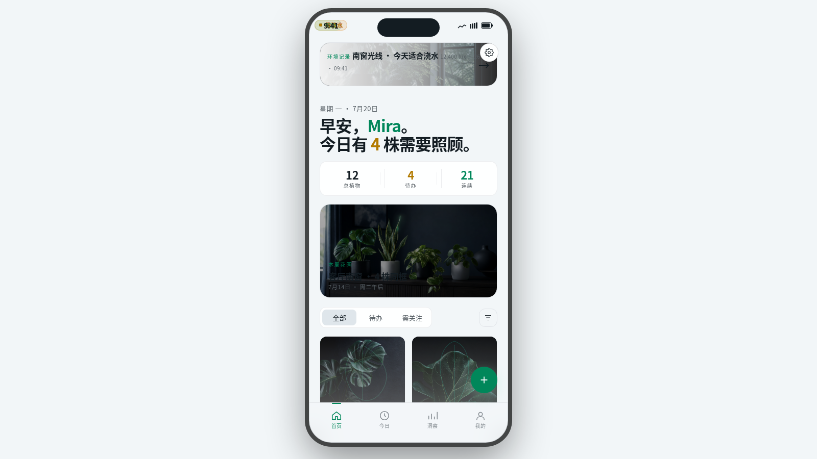 Flora · 植物养护 封面