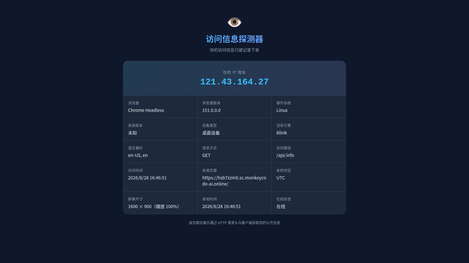 访问信息探测器 封面